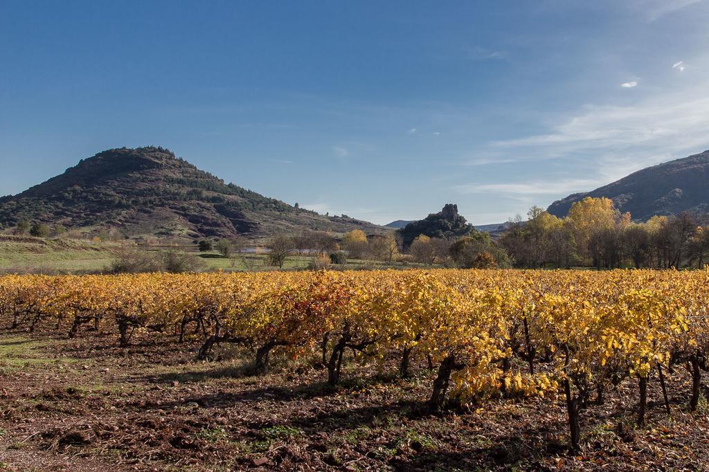 Gite Du Salagou Octon Εξωτερικό φωτογραφία
